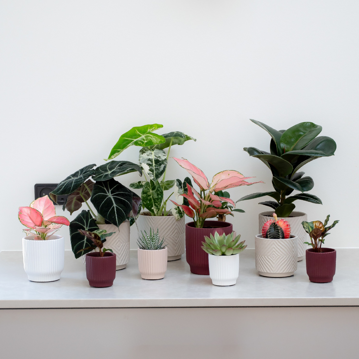 Planter 1