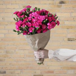 Bundt med 50 stilke pink grenede nelliker