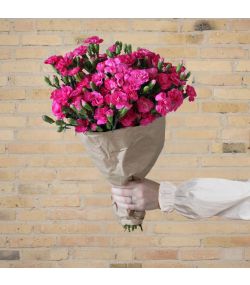 Bundt med 50 stilke pink grenede nelliker